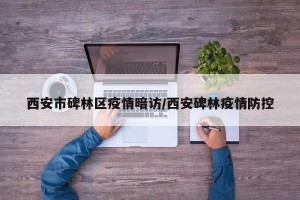 西安市碑林区疫情暗访/西安碑林疫情防控